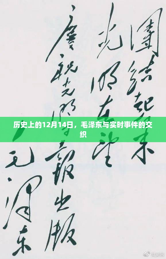 毛泽东与实时事件交织的历史时刻，纪念历史上的十二月十四日