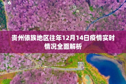 贵州傣族地区往年12月14日疫情全面解析报告