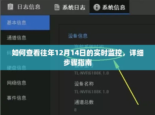 详细步骤指南，如何查看往年12月14日的实时监控数据