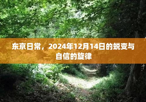 东京日常，蜕变与自信的旋律——2024年12月14日的篇章