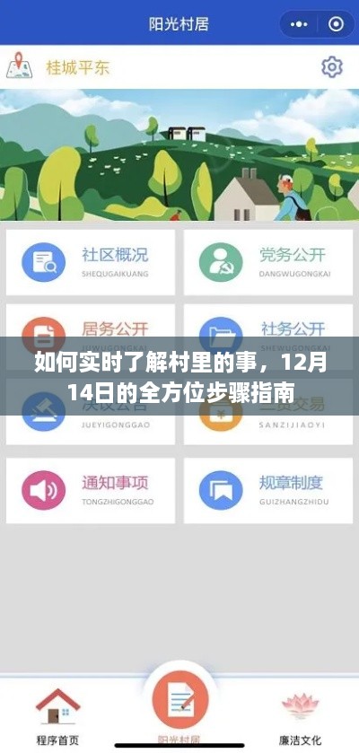 12月14日全方位步骤指南，如何实时掌握村庄动态信息