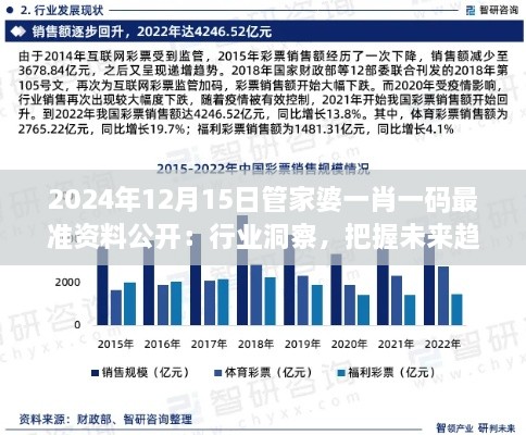 2024年12月15日管家婆一肖一码最准资料公开：行业洞察，把握未来趋势