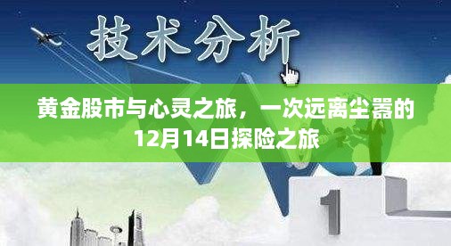 黄金股市与心灵探险，一场远离尘嚣的12月14日旅程