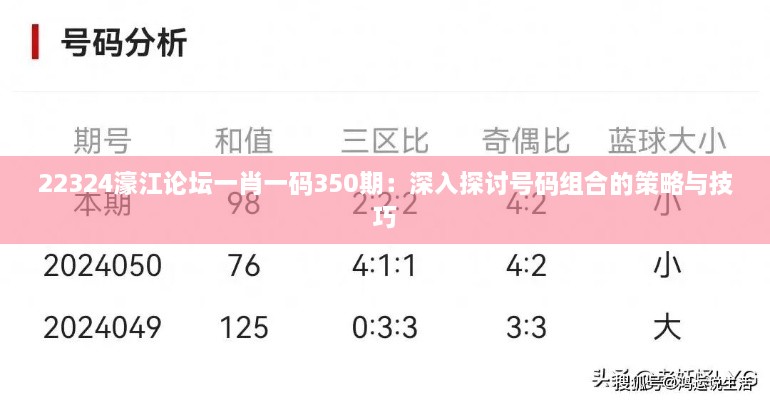 22324濠江论坛一肖一码350期：深入探讨号码组合的策略与技巧