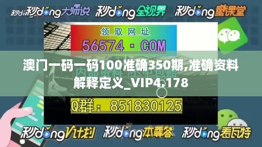 澳门一码一码100准确350期,准确资料解释定义_VIP4.178