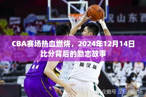 CBA赛场热血励志故事，比分背后的励志篇章，2024年12月14日赛场风采