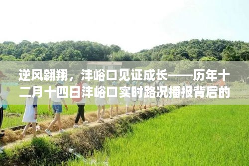 逆风翱翔，沣峪口见证成长之路——历年十二月十四日实时路况播报背后的励志故事