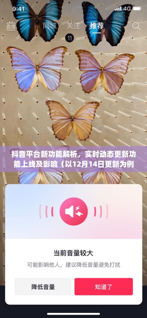 抖音平台新功能解析，实时动态更新功能上线及其影响（最新解读）