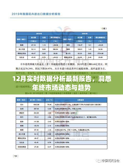 年终市场动态洞察，最新实时数据分析报告揭秘市场趋势的走向（12月版）