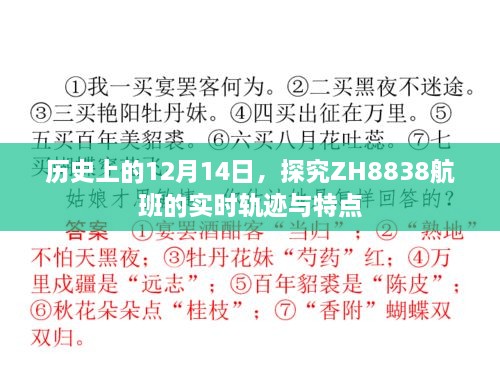 建议，探究ZH8838航班的历史轨迹与特点，12月14日的飞行纪实