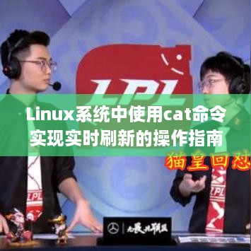 Linux系统中cat命令实现实时刷新操作指南