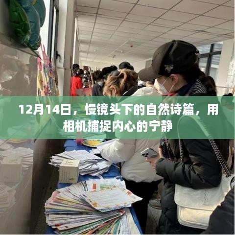 12月14日，用相机捕捉自然诗篇的宁静瞬间