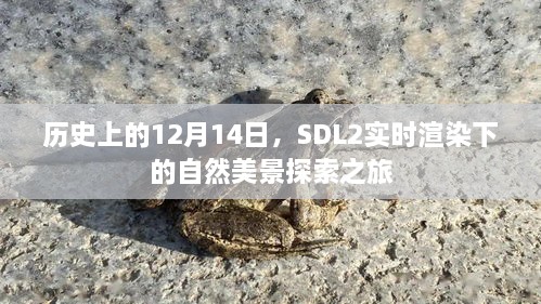 SDL2实时渲染下的自然美景探索之旅，历史日期12月14日的特殊记忆