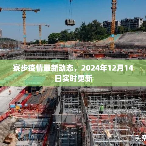 寮步疫情最新动态，实时更新至2024年12月14日