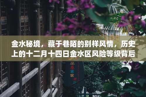 金水秘境，巷陌风情背后的故事——十二月十四日金水区风险等级揭秘