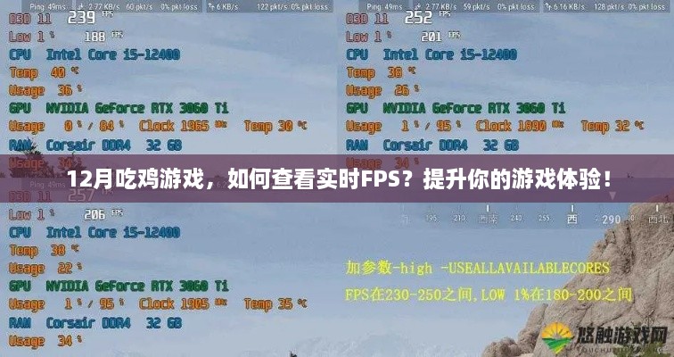 12月吃鸡游戏，实时FPS查看方法与性能提升技巧