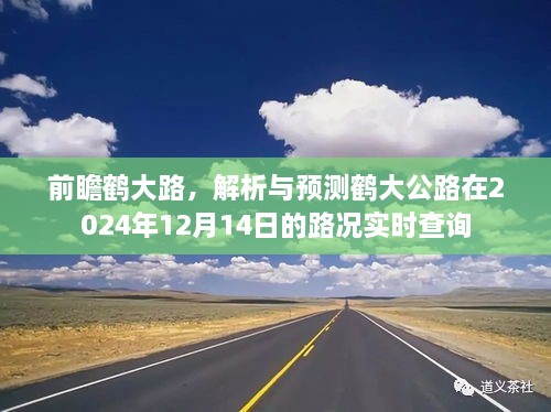 鹤大公路前瞻，路况实时查询与预测分析（鹤大路2024年最新展望）