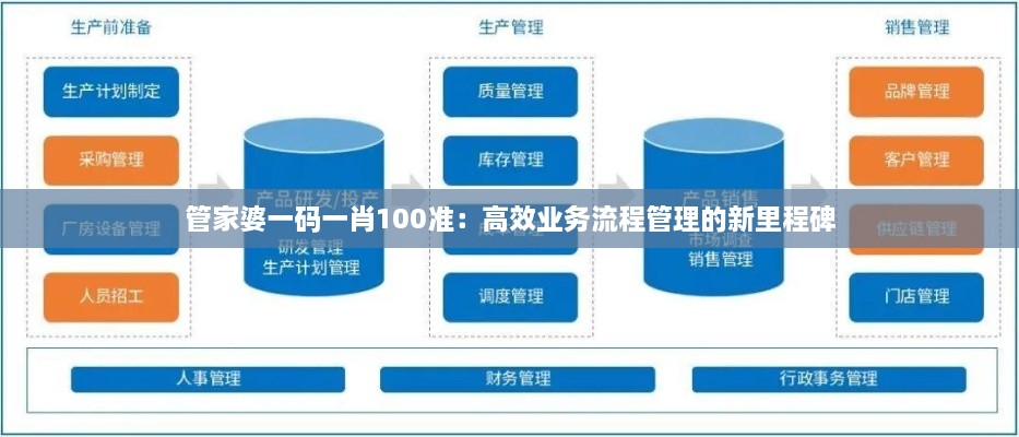 管家婆一码一肖100准：高效业务流程管理的新里程碑