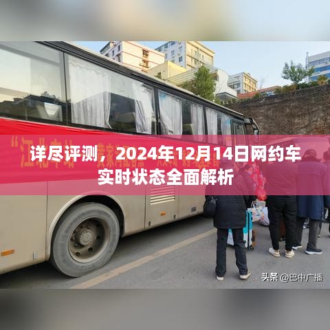 2024年12月14日网约车实时状态全面解析与详尽评测