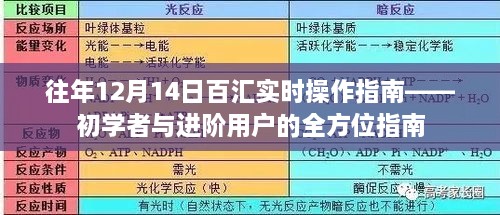 往年12月14日百汇操作指南，初学者与进阶用户的全方位实操指南