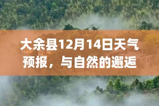 大余县天气预报，与自然邂逅，心灵宁静之旅启程