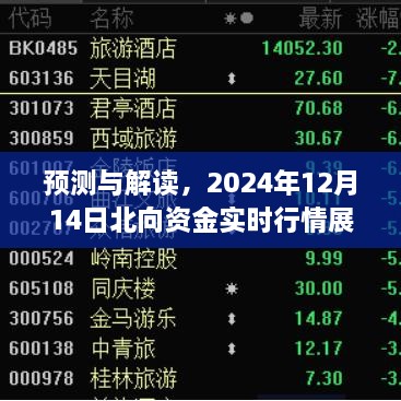 预测解读，北向资金实时行情展望——2024年12月14日动态分析