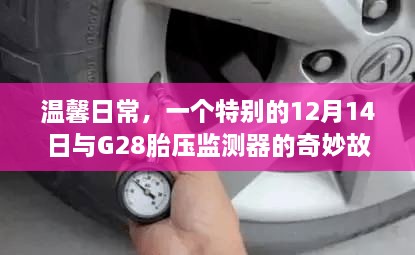 温馨日常中的奇妙故事，G28胎压监测器与特别的12月14日