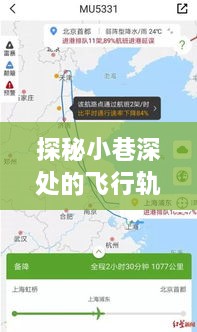 探秘小巷深处的飞行轨迹图绘馆，实时航班踪迹位置图解（12月14日）