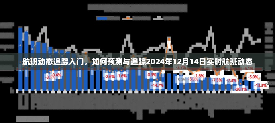 航班动态追踪入门指南，预测与追踪航班实时动态（以2024年为例）