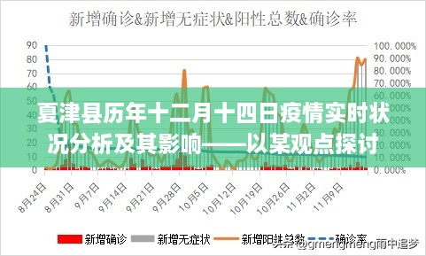 夏津县历年十二月十四日疫情实时状况分析，观点探讨与影响探究