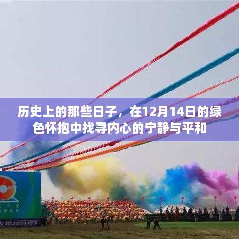 12月14日的历史记忆，在绿色怀抱中寻找内心的宁静与平和