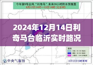 2024年12月14日利奇马台临沂路况攻略，应对实时路况的详细步骤