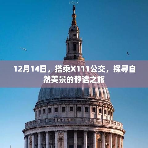 探寻自然美景的静谧之旅，X111公交之旅纪实（12月14日）