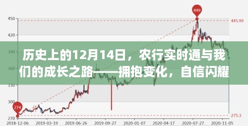 农行实时通成长之路，拥抱变化，自信闪耀的历程（12月14日回顾）