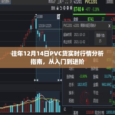 往年12月14日PVC货实时行情深度解析，入门到进阶指南