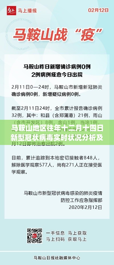 马鞍山地区十二月十四日新冠疫情实时状况分析与观点探讨