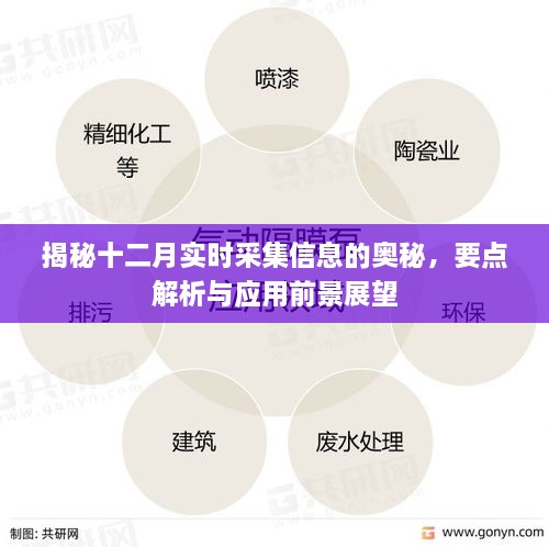 揭秘十二月实时采集信息的奥秘，要点解析、应用前景展望与探索