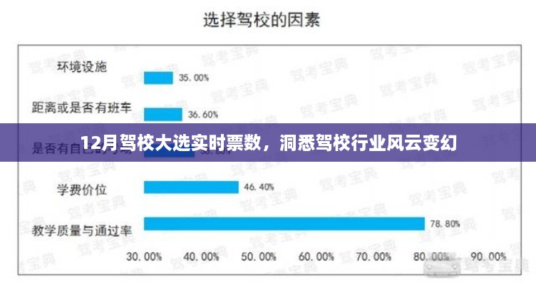 12月驾校大选实时票数揭示，行业风云变幻的深度洞察