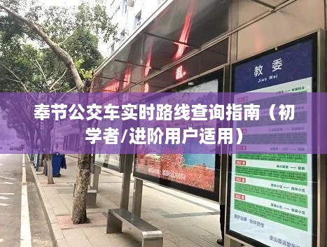 奉节公交车实时路线查询指南，适合初学者与进阶用户参考