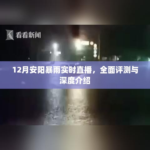 12月安阳暴雨实况直播，全面评测与深度剖析