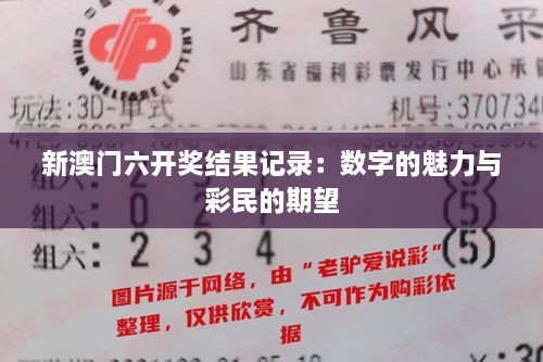 新澳门六开奖结果记录：数字的魅力与彩民的期望