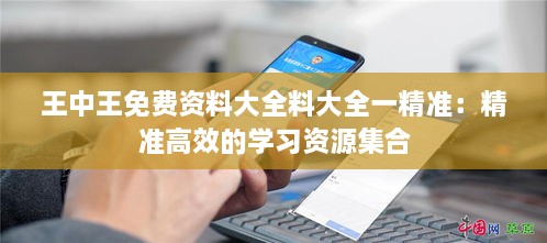 王中王免费资料大全料大全一精准：精准高效的学习资源集合