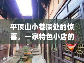 平顶山小巷深处特色小店揭秘，实时报道的惊喜之旅