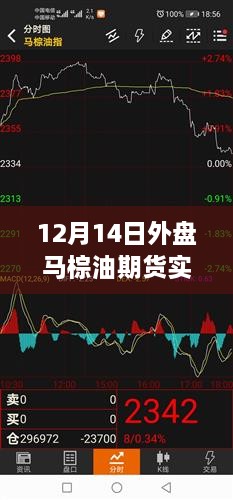 12月14日马棕油期货实时行情深度解析与介绍