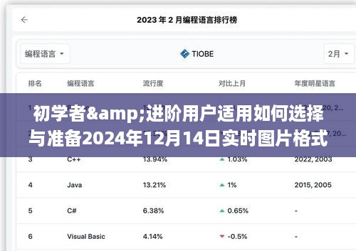 初学者与进阶用户如何选择与准备实时图片格式指南，针对2024年12月14日的实用指南