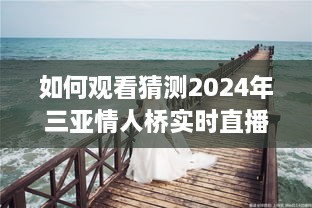 观看猜测2024年三亚情人桥实时直播，详细步骤教程