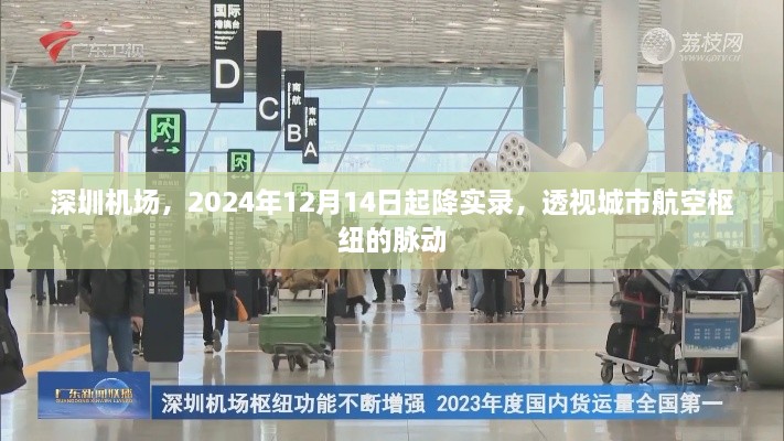 深圳机场，透视城市航空枢纽脉动——2024年12月14日起降实录纪实