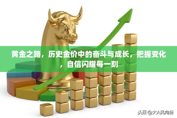 黄金之路，奋斗与成长，把握金价变化，自信闪耀时刻