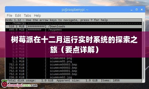 树莓派十二月实时系统运行深度解析，探索之旅与要点详解