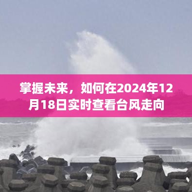 掌握未来台风动态，实时查看台风走向，预测未来动向（2024年12月18日更新）